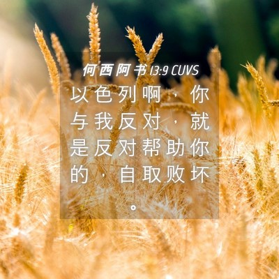 Picture 04 - 何 西 阿 书 13:9 CUVS - 以 色 列 啊 ， 你 与 我 反 对 ， 就 - Bible Verse Picture