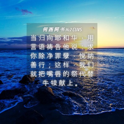 Picture 04 - 何 西 阿 书 14:2 CUVS - 当 归 向 耶 和 华 ， 用 言 语 祷 告 - Bible Verse Picture