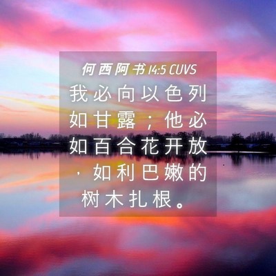 Picture 04 - 何 西 阿 书 14:5 CUVS - 我 必 向 以 色 列 如 甘 露 ； 他 必 - Bible Verse Picture
