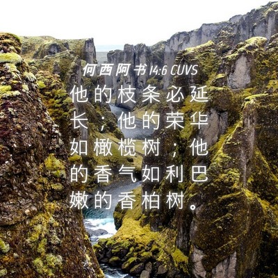 Picture 04 - 何 西 阿 书 14:6 CUVS - 他 的 枝 条 必 延 长 ； 他 的 荣 华 - Bible Verse Picture