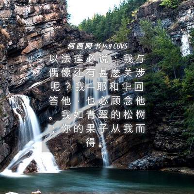 Picture 04 - 何 西 阿 书 14:8 CUVS - 以 法 莲 必 说 ： 我 与 偶 像 还 有 - Bible Verse Picture