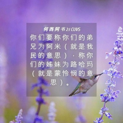 Picture 04 - 何 西 阿 书 2:1 CUVS - 你 们 要 称 你 们 的 弟 兄 为 阿 米 - Bible Verse Picture