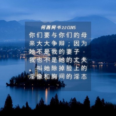Picture 04 - 何 西 阿 书 2:2 CUVS - 你 们 要 与 你 们 的 母 亲 大 大 争 - Bible Verse Picture