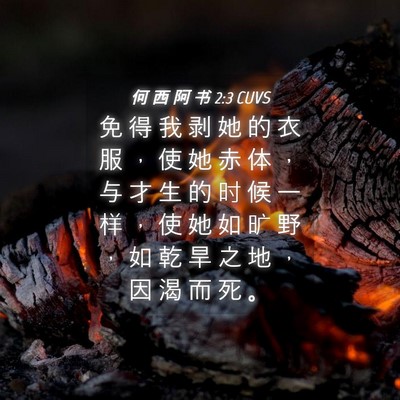 Picture 04 - 何 西 阿 书 2:3 CUVS - 免 得 我 剥 她 的 衣 服 ， 使 她 赤 - Bible Verse Picture
