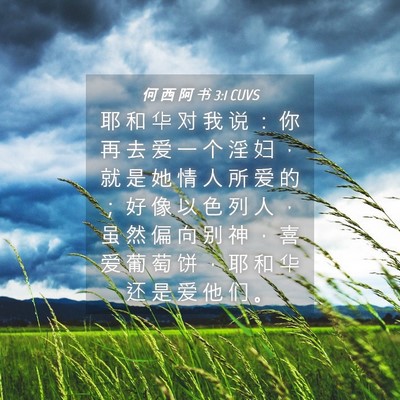 Picture 04 - 何 西 阿 书 3:1 CUVS - 耶 和 华 对 我 说 ： 你 再 去 爱 一 - Bible Verse Picture