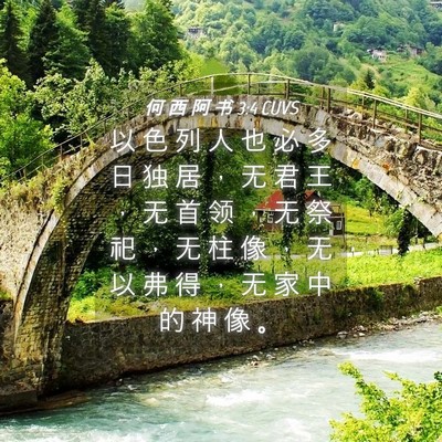 Picture 04 - 何 西 阿 书 3:4 CUVS - 以 色 列 人 也 必 多 日 独 居 ， 无 - Bible Verse Picture