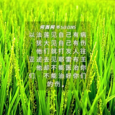 Picture 04 - 何 西 阿 书 5:13 CUVS - 以 法 莲 见 自 己 有 病 ， 犹 大 见 - Bible Verse Picture