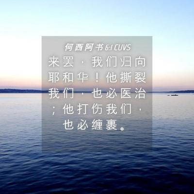 Picture 04 - 何 西 阿 书 6:1 CUVS - 来 罢 ， 我 们 归 向 耶 和 华 ！ 他 - Bible Verse Picture