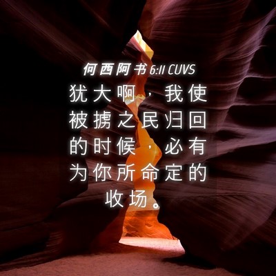 Picture 04 - 何 西 阿 书 6:11 CUVS - 犹 大 啊 ， 我 使 被 掳 之 民 归 回 - Bible Verse Picture