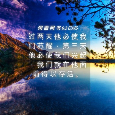 Picture 04 - 何 西 阿 书 6:2 CUVS - 过 两 天 他 必 使 我 们 苏 醒 ， 第 - Bible Verse Picture