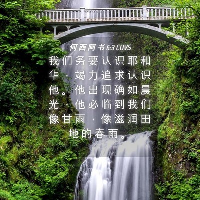 Picture 04 - 何 西 阿 书 6:3 CUVS - 我 们 务 要 认 识 耶 和 华 ， 竭 力 - Bible Verse Picture