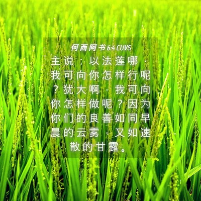 Picture 04 - 何 西 阿 书 6:4 CUVS - 主 说 ： 以 法 莲 哪 ， 我 可 向 你 - Bible Verse Picture