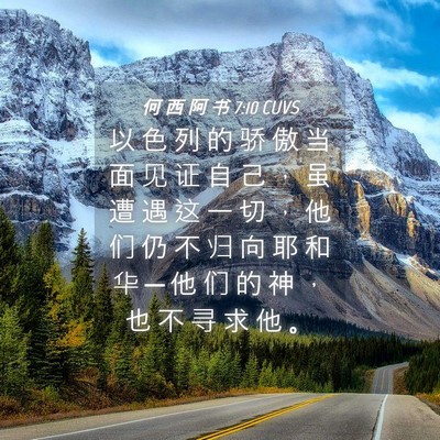 Picture 04 - 何 西 阿 书 7:10 CUVS - 以 色 列 的 骄 傲 当 面 见 证 自 己 - Bible Verse Picture