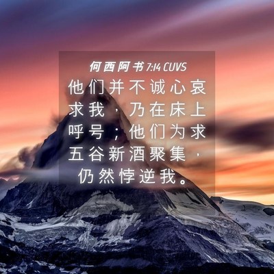 Picture 04 - 何 西 阿 书 7:14 CUVS - 他 们 并 不 诚 心 哀 求 我 ， 乃 在 - Bible Verse Picture