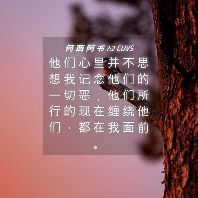 Picture 04 - 何 西 阿 书 7:2 CUVS - 他 们 心 里 并 不 思 想 我 记 念 他 - Bible Verse Picture
