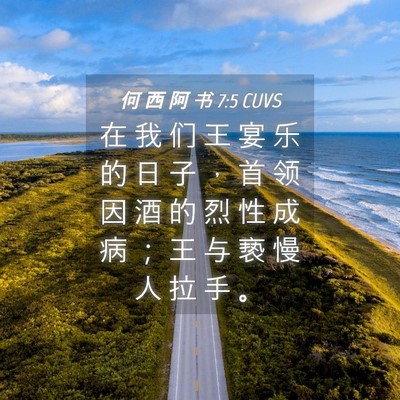 Picture 04 - 何 西 阿 书 7:5 CUVS - 在 我 们 王 宴 乐 的 日 子 ， 首 领 - Bible Verse Picture
