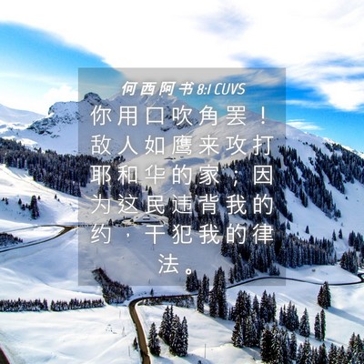 Picture 04 - 何 西 阿 书 8:1 CUVS - 你 用 口 吹 角 罢 ！ 敌 人 如 鹰 来 - Bible Verse Picture