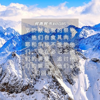 Picture 04 - 何 西 阿 书 8:13 CUVS - 至 於 献 给 我 的 祭 物 ， 他 们 自 - Bible Verse Picture