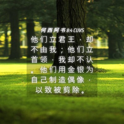 Picture 04 - 何 西 阿 书 8:4 CUVS - 他 们 立 君 王 ， 却 不 由 我 ； 他 - Bible Verse Picture