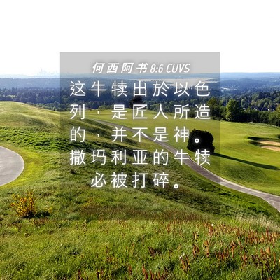 Picture 04 - 何 西 阿 书 8:6 CUVS - 这 牛 犊 出 於 以 色 列 ， 是 匠 人 - Bible Verse Picture