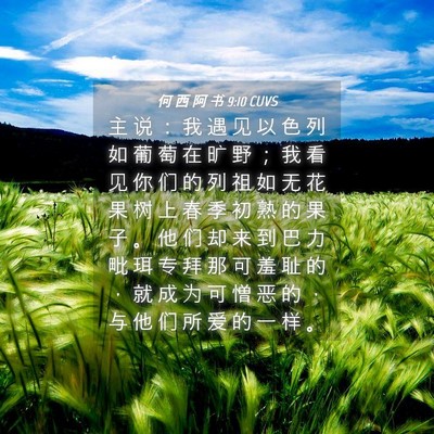 Picture 04 - 何 西 阿 书 9:10 CUVS - 主 说 ： 我 遇 见 以 色 列 如 葡 萄 - Bible Verse Picture