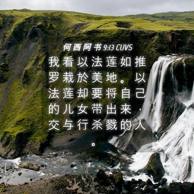Picture 04 - 何 西 阿 书 9:13 CUVS - 我 看 以 法 莲 如 推 罗 栽 於 美 地 - Bible Verse Picture