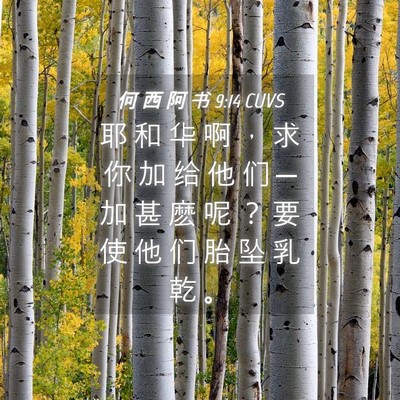 Picture 04 - 何 西 阿 书 9:14 CUVS - 耶 和 华 啊 ， 求 你 加 给 他 们 ─ - Bible Verse Picture