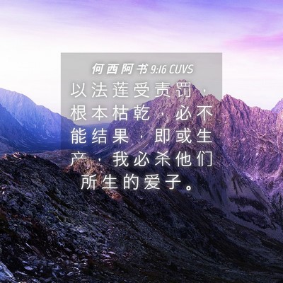 Picture 04 - 何 西 阿 书 9:16 CUVS - 以 法 莲 受 责 罚 ， 根 本 枯 乾 ， - Bible Verse Picture