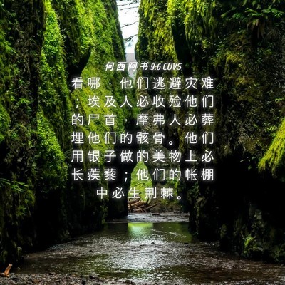 Picture 04 - 何 西 阿 书 9:6 CUVS - 看 哪 ， 他 们 逃 避 灾 难 ； 埃 及 - Bible Verse Picture