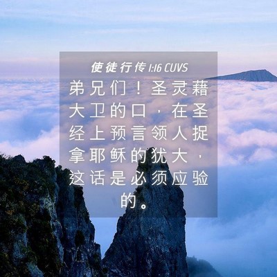 Picture 04 - 使 徒 行 传 1:16 CUVS - 弟 兄 们 ！ 圣 灵 藉 大 卫 的 口 ， - Bible Verse Picture