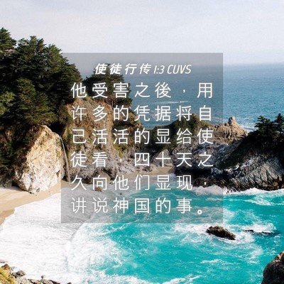 Picture 04 - 使 徒 行 传 1:3 CUVS - 他 受 害 之 後 ， 用 许 多 的 凭 据 - Bible Verse Picture