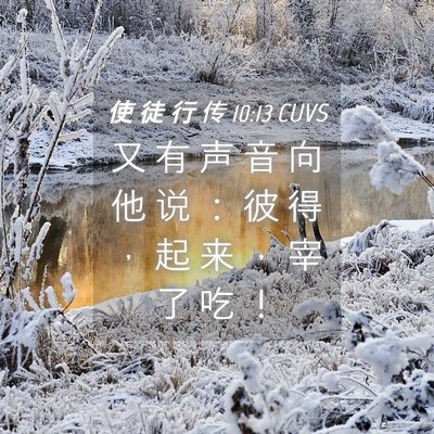 Picture 04 - 使 徒 行 传 10:13 CUVS - 又 有 声 音 向 他 说 ： 彼 得 ， 起 - Bible Verse Picture
