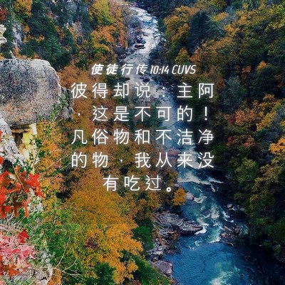 Picture 04 - 使 徒 行 传 10:14 CUVS - 彼 得 却 说 ： 主 阿 ， 这 是 不 可 - Bible Verse Picture