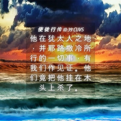 Picture 04 - 使 徒 行 传 10:39 CUVS - 他 在 犹 太 人 之 地 ， 并 耶 路 撒 - Bible Verse Picture