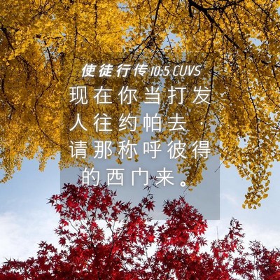 Picture 04 - 使 徒 行 传 10:5 CUVS - 现 在 你 当 打 发 人 往 约 帕 去 ， - Bible Verse Picture