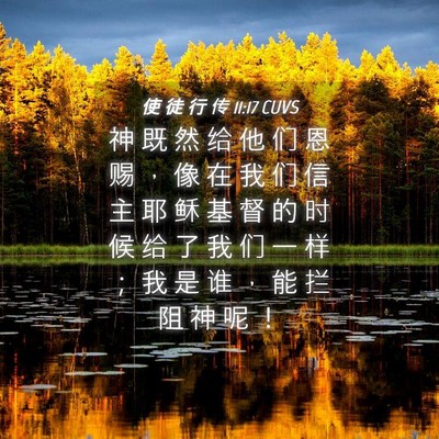 Picture 04 - 使 徒 行 传 11:17 CUVS - 神 既 然 给 他 们 恩 赐 ， 像 在 我 - Bible Verse Picture