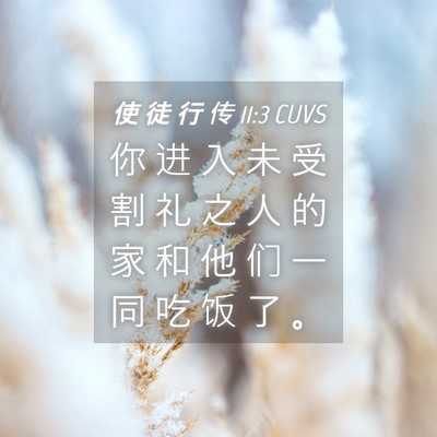 Picture 04 - 使 徒 行 传 11:3 CUVS - 你 进 入 未 受 割 礼 之 人 的 家 和 - Bible Verse Picture