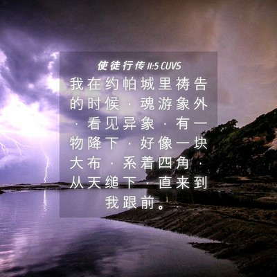 Picture 04 - 使 徒 行 传 11:5 CUVS - 我 在 约 帕 城 里 祷 告 的 时 候 ， - Bible Verse Picture