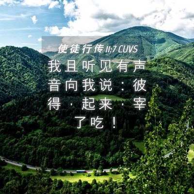 Picture 04 - 使 徒 行 传 11:7 CUVS - 我 且 听 见 有 声 音 向 我 说 ： 彼 - Bible Verse Picture