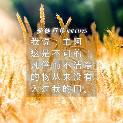 Picture 04 - 使 徒 行 传 11:8 CUVS - 我 说 ： 主 阿 ， 这 是 不 可 的 ！ - Bible Verse Picture