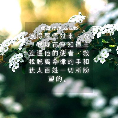 Picture 04 - 使 徒 行 传 12:11 CUVS - 彼 得 醒 悟 过 来 ， 说 ： 我 现 在 - Bible Verse Picture