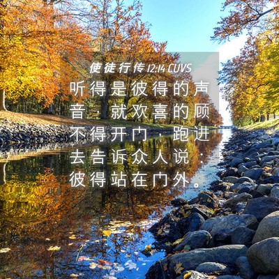 Picture 04 - 使 徒 行 传 12:14 CUVS - 听 得 是 彼 得 的 声 音 ， 就 欢 喜 - Bible Verse Picture