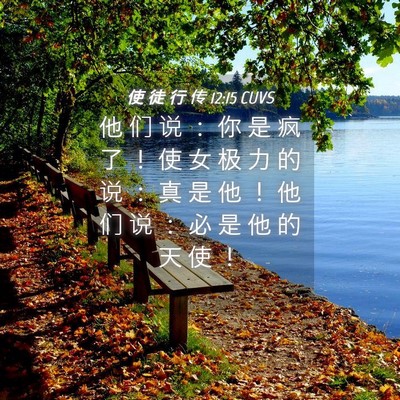 Picture 04 - 使 徒 行 传 12:15 CUVS - 他 们 说 ： 你 是 疯 了 ！ 使 女 极 - Bible Verse Picture