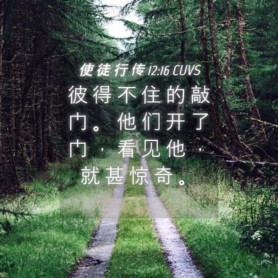 Picture 04 - 使 徒 行 传 12:16 CUVS - 彼 得 不 住 的 敲 门 。 他 们 开 了 - Bible Verse Picture