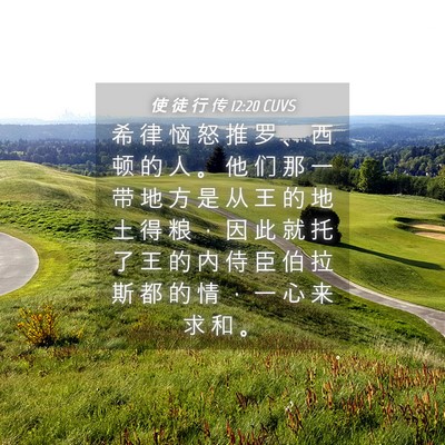 Picture 04 - 使 徒 行 传 12:20 CUVS - 希 律 恼 怒 推 罗 、 西 顿 的 人 。 - Bible Verse Picture