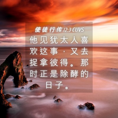 Picture 04 - 使 徒 行 传 12:3 CUVS - 他 见 犹 太 人 喜 欢 这 事 ， 又 去 - Bible Verse Picture