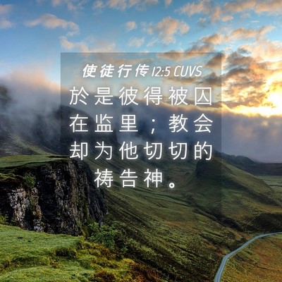 Picture 04 - 使 徒 行 传 12:5 CUVS - 於 是 彼 得 被 囚 在 监 里 ； 教 会 - Bible Verse Picture