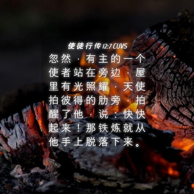 Picture 04 - 使 徒 行 传 12:7 CUVS - 忽 然 ， 有 主 的 一 个 使 者 站 在 - Bible Verse Picture