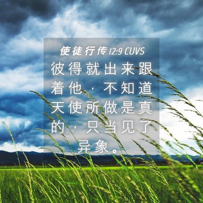 Picture 04 - 使 徒 行 传 12:9 CUVS - 彼 得 就 出 来 跟 着 他 ， 不 知 道 - Bible Verse Picture