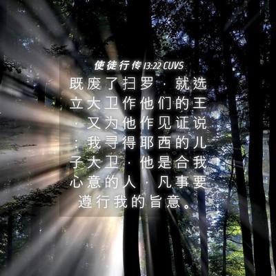 Picture 04 - 使 徒 行 传 13:22 CUVS - 既 废 了 扫 罗 ， 就 选 立 大 卫 作 - Bible Verse Picture